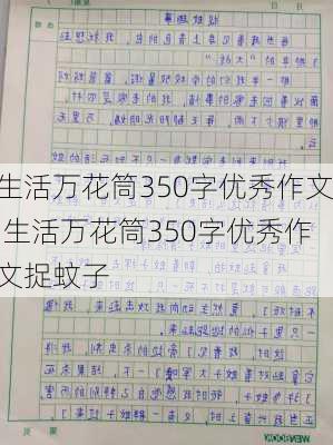 生活万花筒350字优秀作文,生活万花筒350字优秀作文捉蚊子