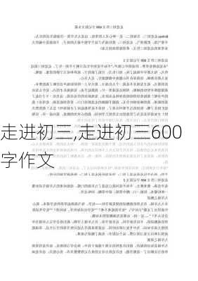 走进初三,走进初三600字作文