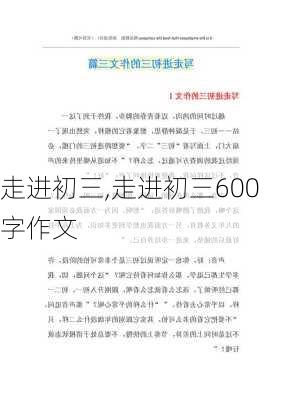 走进初三,走进初三600字作文