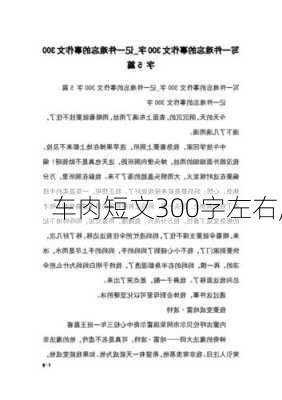 车肉短文300字左右,