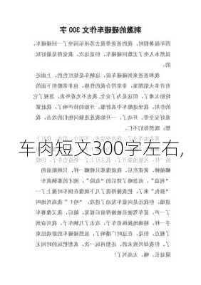 车肉短文300字左右,