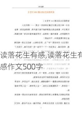 读落花生有感,读落花生有感作文500字