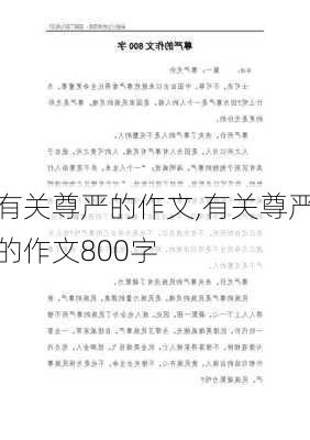 有关尊严的作文,有关尊严的作文800字