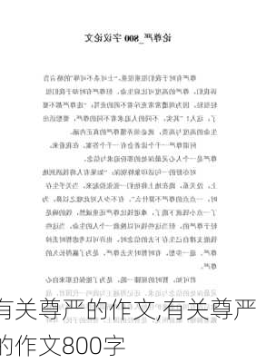 有关尊严的作文,有关尊严的作文800字