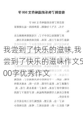 我尝到了快乐的滋味,我尝到了快乐的滋味作文500字优秀作文