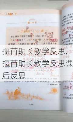 揠苗助长教学反思,揠苗助长教学反思课后反思