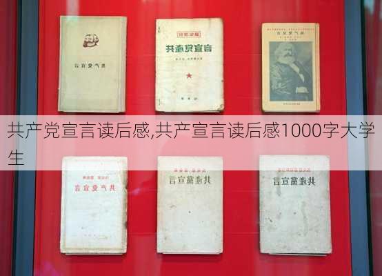 共产党宣言读后感,共产宣言读后感1000字大学生