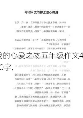 我的心爱之物五年级作文400字,