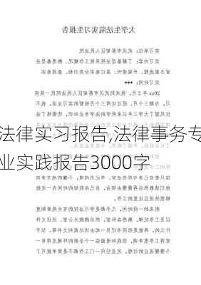 法律实习报告,法律事务专业实践报告3000字