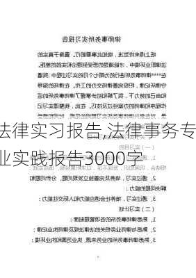 法律实习报告,法律事务专业实践报告3000字