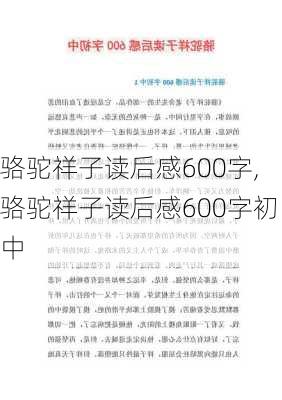 骆驼祥子读后感600字,骆驼祥子读后感600字初中