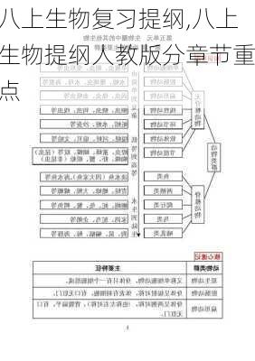 八上生物复习提纲,八上生物提纲人教版分章节重点