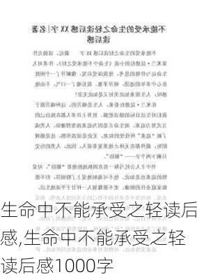 生命中不能承受之轻读后感,生命中不能承受之轻读后感1000字