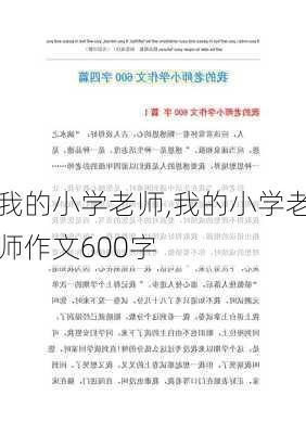 我的小学老师,我的小学老师作文600字