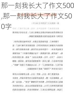 那一刻我长大了作文500,那一刻我长大了作文500字