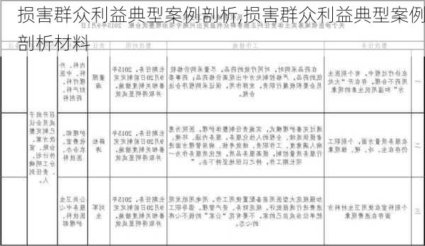 损害群众利益典型案例剖析,损害群众利益典型案例剖析材料