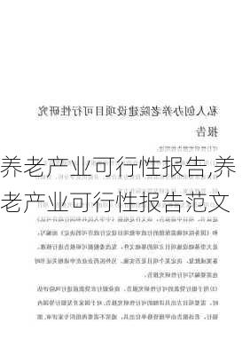 养老产业可行性报告,养老产业可行性报告范文