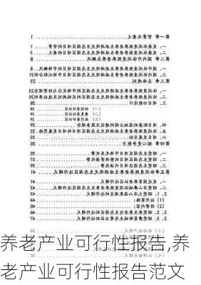 养老产业可行性报告,养老产业可行性报告范文