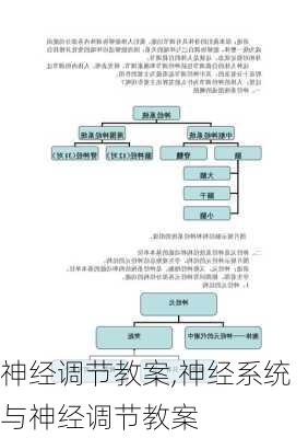 神经调节教案,神经系统与神经调节教案