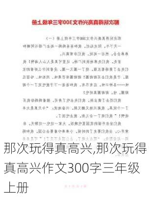 那次玩得真高兴,那次玩得真高兴作文300字三年级上册