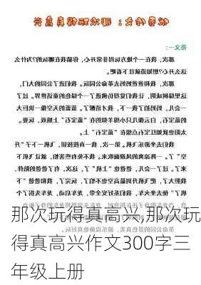 那次玩得真高兴,那次玩得真高兴作文300字三年级上册