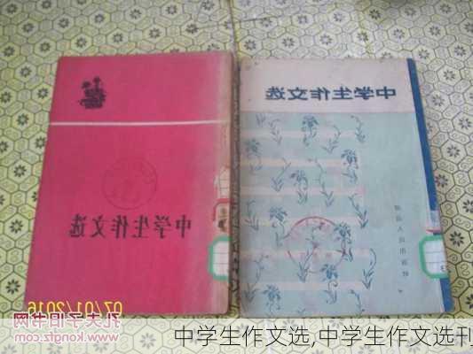 中学生作文选,中学生作文选刊