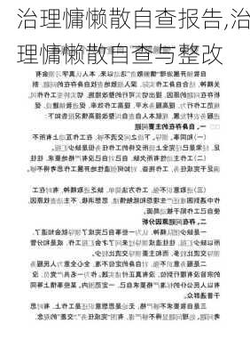 治理慵懒散自查报告,治理慵懒散自查与整改