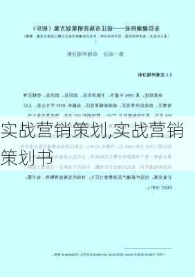 实战营销策划,实战营销策划书