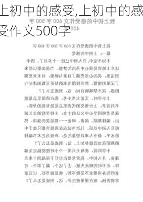 上初中的感受,上初中的感受作文500字