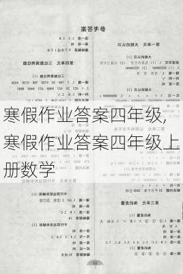 寒假作业答案四年级,寒假作业答案四年级上册数学