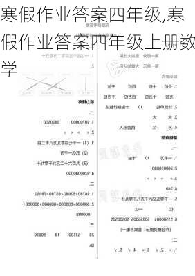 寒假作业答案四年级,寒假作业答案四年级上册数学