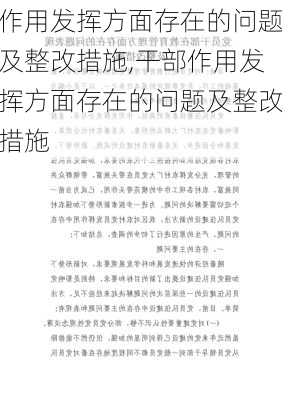 作用发挥方面存在的问题及整改措施,干部作用发挥方面存在的问题及整改措施