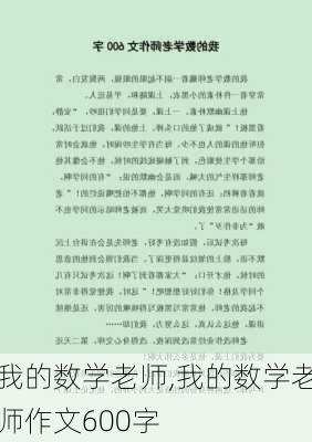 我的数学老师,我的数学老师作文600字