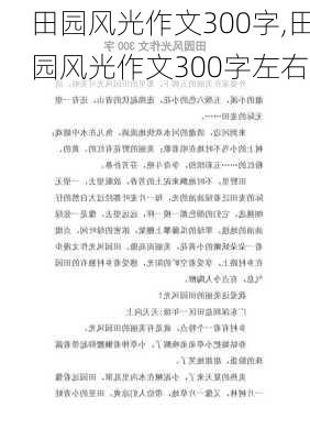 田园风光作文300字,田园风光作文300字左右