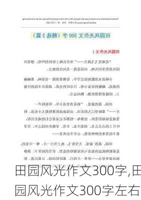 田园风光作文300字,田园风光作文300字左右