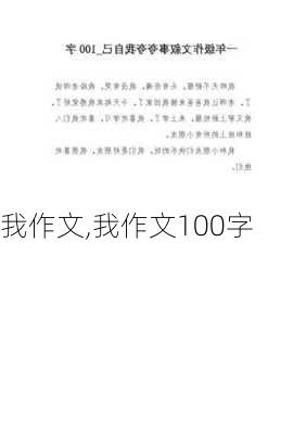 我作文,我作文100字