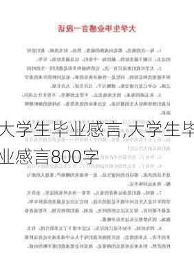 大学生毕业感言,大学生毕业感言800字