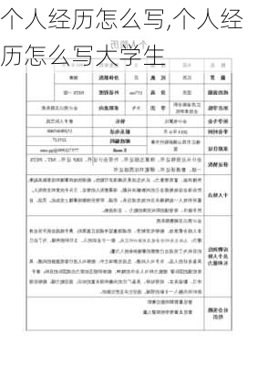 个人经历怎么写,个人经历怎么写大学生