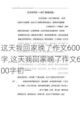 这天我回家晚了作文600字,这天我回家晚了作文600字初一