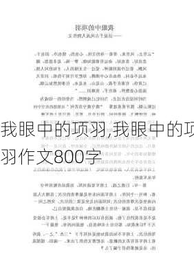 我眼中的项羽,我眼中的项羽作文800字