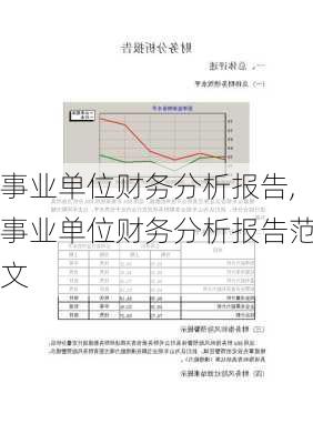 事业单位财务分析报告,事业单位财务分析报告范文