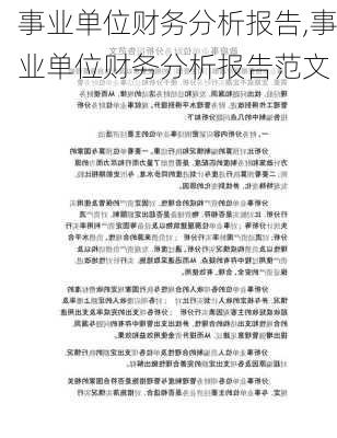 事业单位财务分析报告,事业单位财务分析报告范文