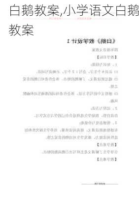 白鹅教案,小学语文白鹅教案