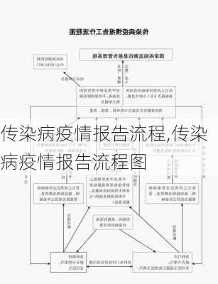 传染病疫情报告流程,传染病疫情报告流程图