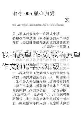 我的愿望 作文,我的愿望作文600字六年级