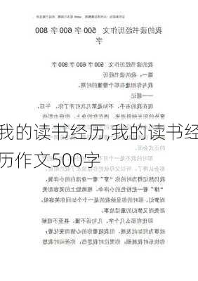 我的读书经历,我的读书经历作文500字