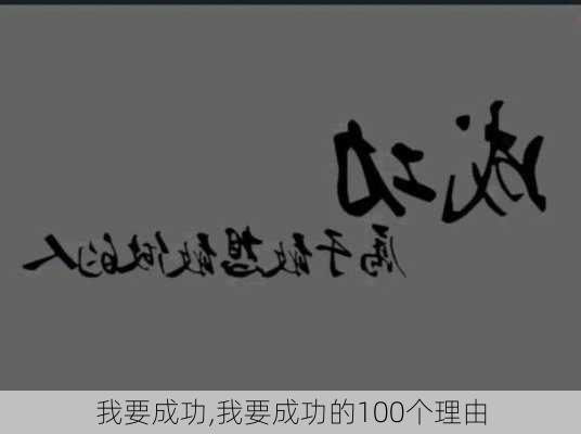 我要成功,我要成功的100个理由