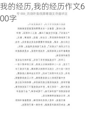 我的经历,我的经历作文600字