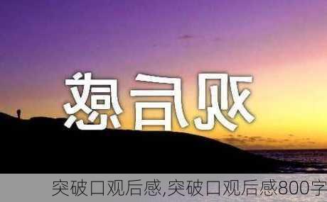 突破口观后感,突破口观后感800字