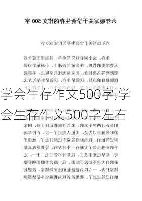 学会生存作文500字,学会生存作文500字左右